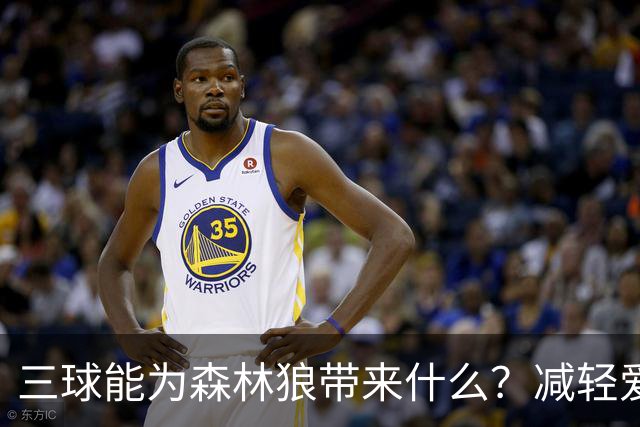 三球能为森林狼带来什么？减轻爱德华兹单打负担 麦丹能惩罚对手