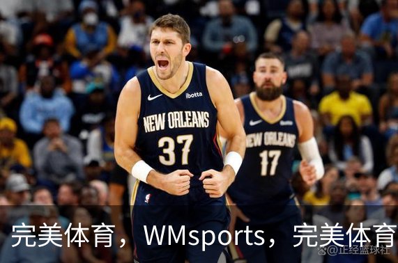 完美体育，WMsports，完美体育官方，完美体育平台，完美体育下载概况