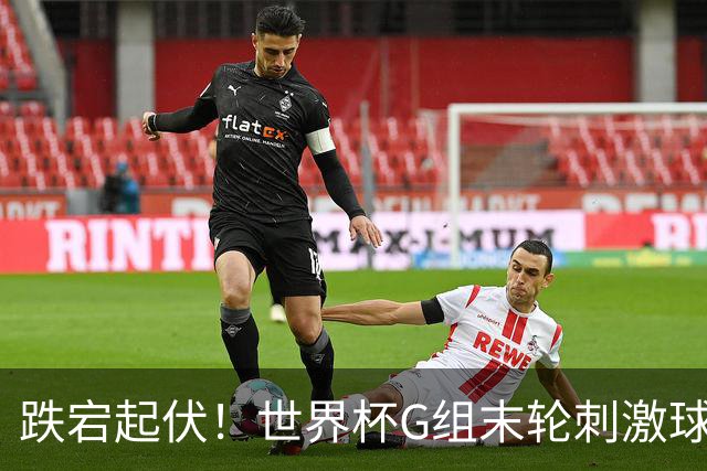 跌宕起伏！世界杯G组末轮刺激球迷心脏 伊朗狂喜过后遭打击